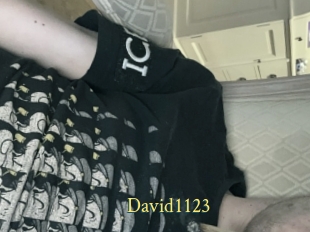 David1123