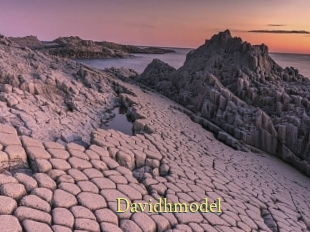Davidhmodel