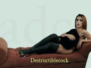 Destructiblecock