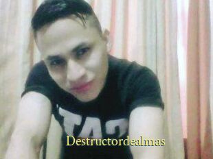 Destructordealmas