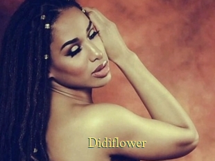 Didiflower