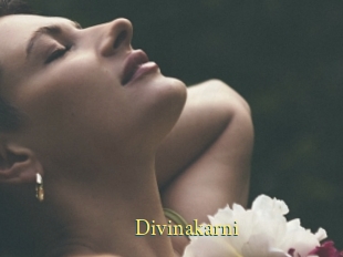 Divinakarni