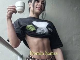 Domin_hamss