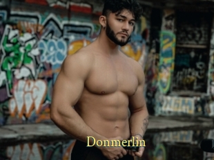 Donmerlin