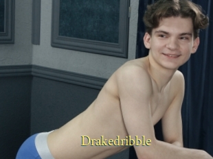 Drakedribble