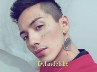 Dylandblake