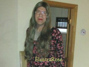 Elantra_Rose