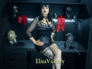 ElisaVultury