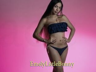 EmelyLittleBunny