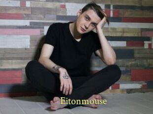 Eitonmouse