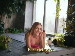 Electricflower