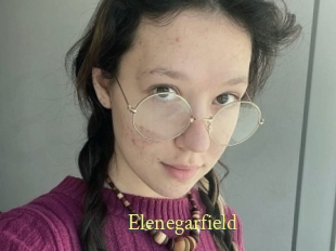 Elenegarfield