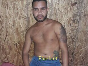 Eliashott