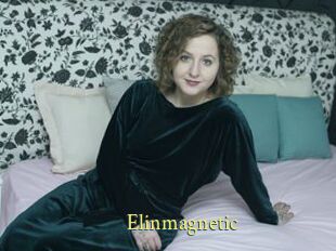 Elinmagnetic