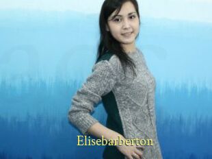 Elisebarberton