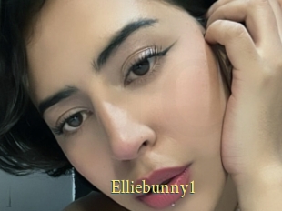 Elliebunny1