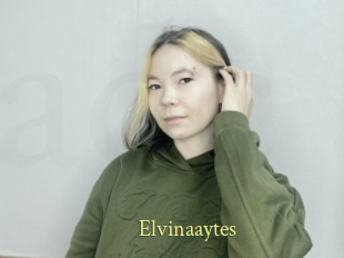 Elvinaaytes