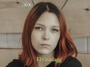 Elvinadagg