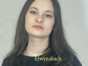 Elwynabach