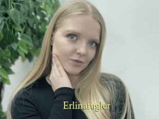 Erlinafugler