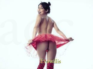 Evawillis