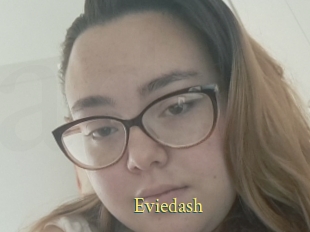 Eviedash