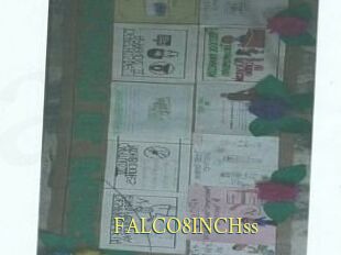 FALCO8INCHss