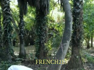 FRENCH213