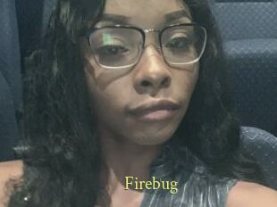 Firebug