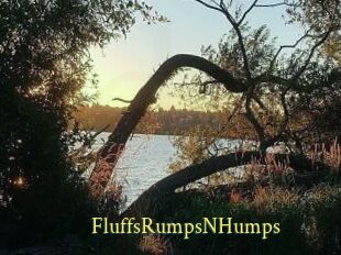 FluffsRumpsNHumps