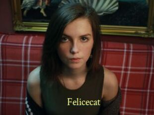Felicecat