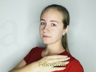 Feliceexcell