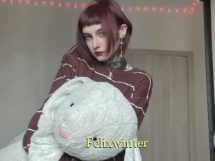 Felixwinter