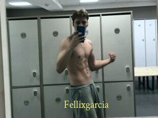 Fellixgarcia