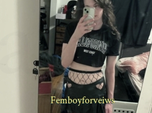 Femboyforveiws