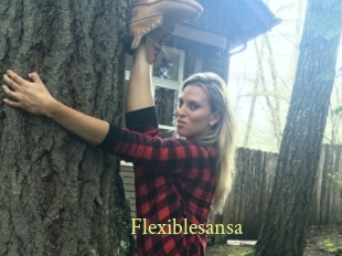 Flexiblesansa