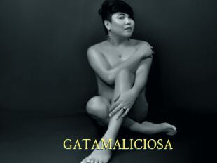 GATAMALICIOSA