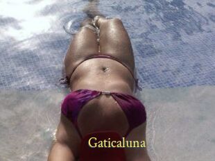 Gaticaluna
