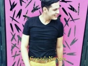GonzaloNarvaes