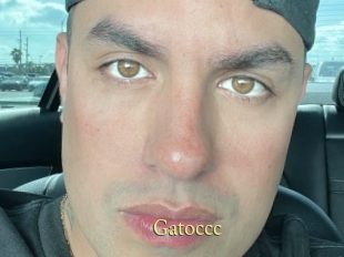 Gatoccc