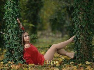 Hajny
