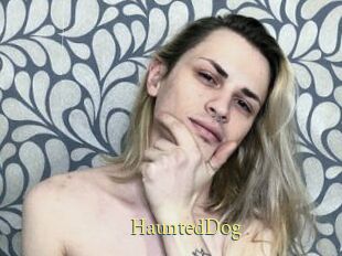 HauntedDog