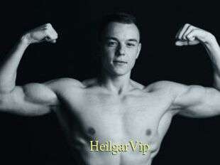 HeilgarVip