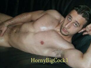 HornyBigCock1