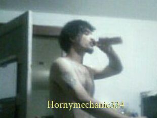 Hornymechanic334