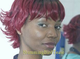 HummingBirdTease