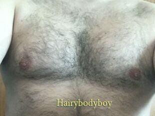 Hairybodyboy