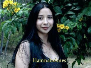 Hamnaholmes