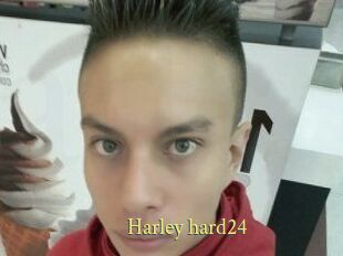 Harley_hard24