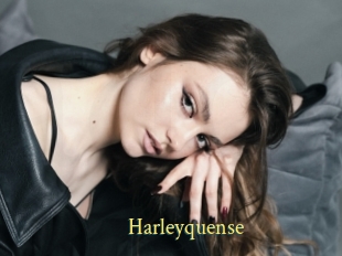 Harleyquense